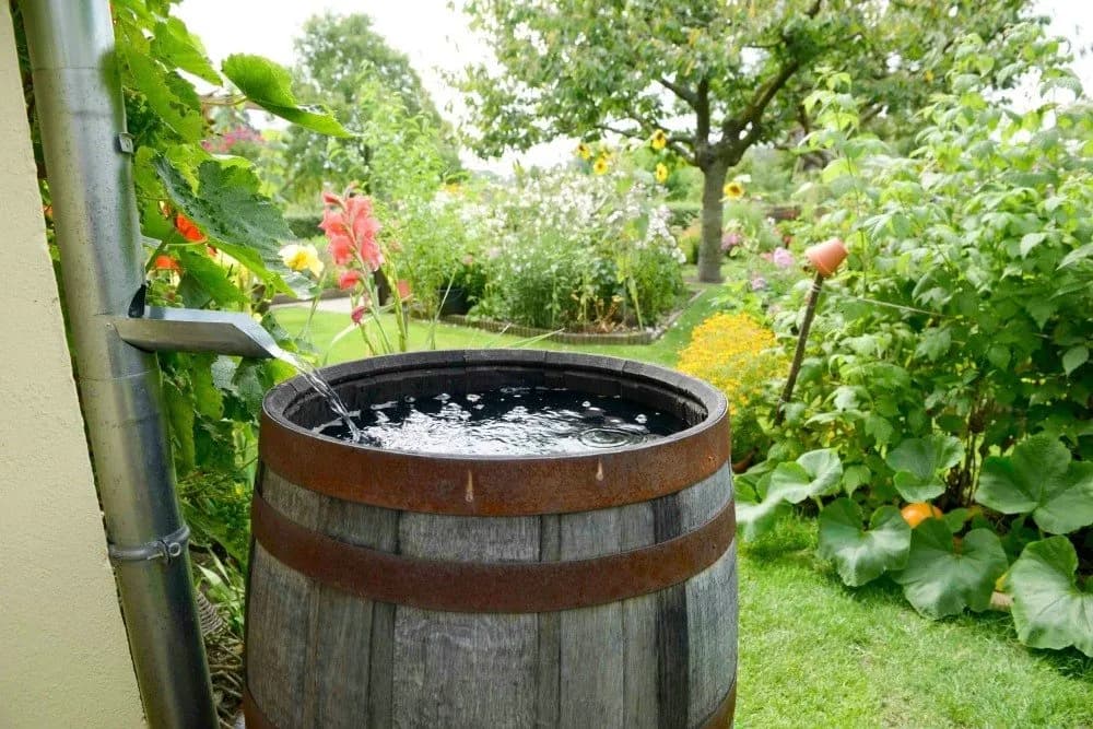 All4Water: Regenwasserlösungen, die Ihren Bedürfnissen entsprechen