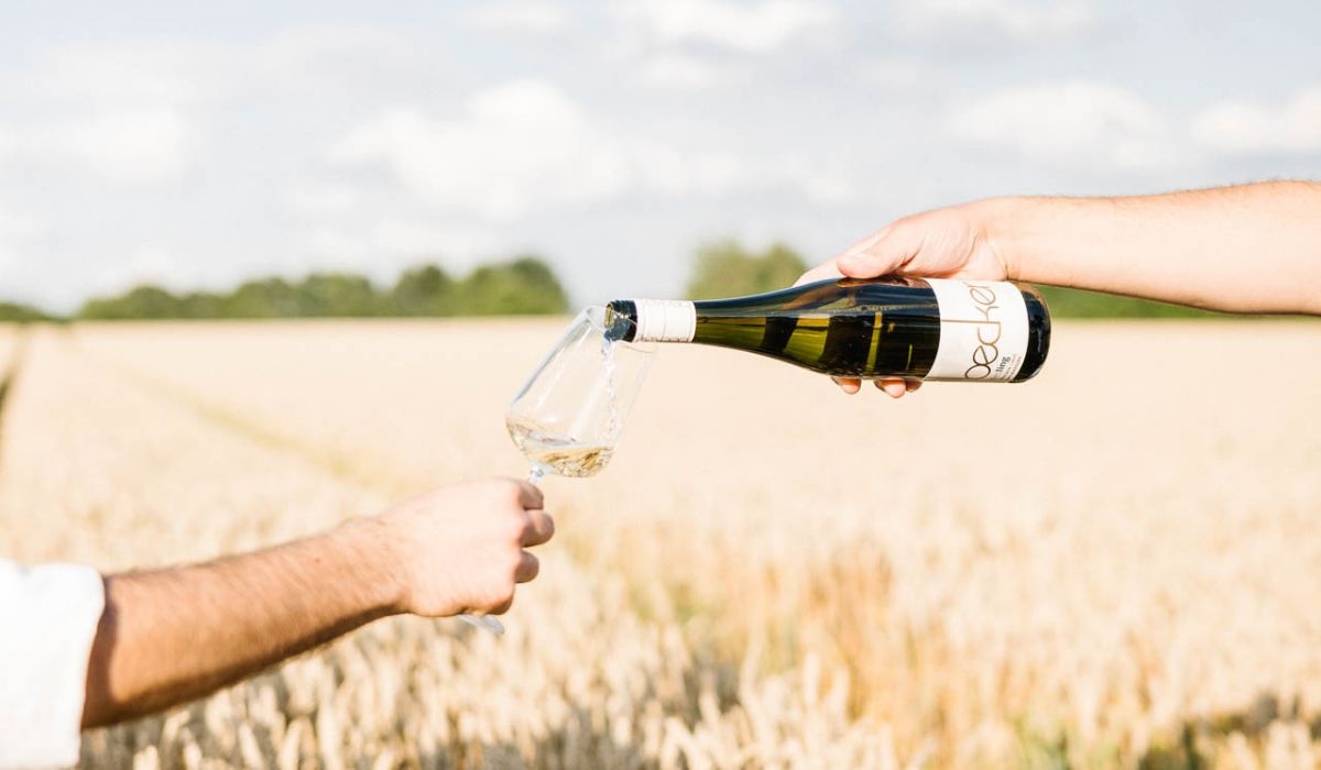 Wein Online Shop online: So wählen Sie die besten Weine aus