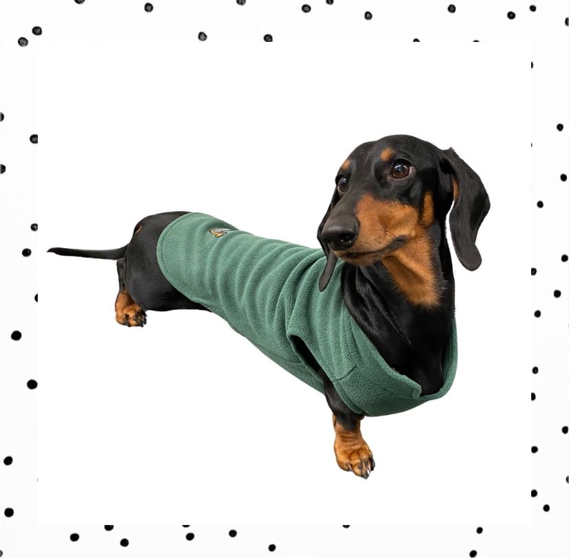Stilvolle Und Funktionale Dackel Jacke: Hochwertige Jacken, Die Ihrem Dackel Schutz Vor Kälte Und Nässe Bieten Und Gleichzeitig Einen Trendigen Look Verleihen