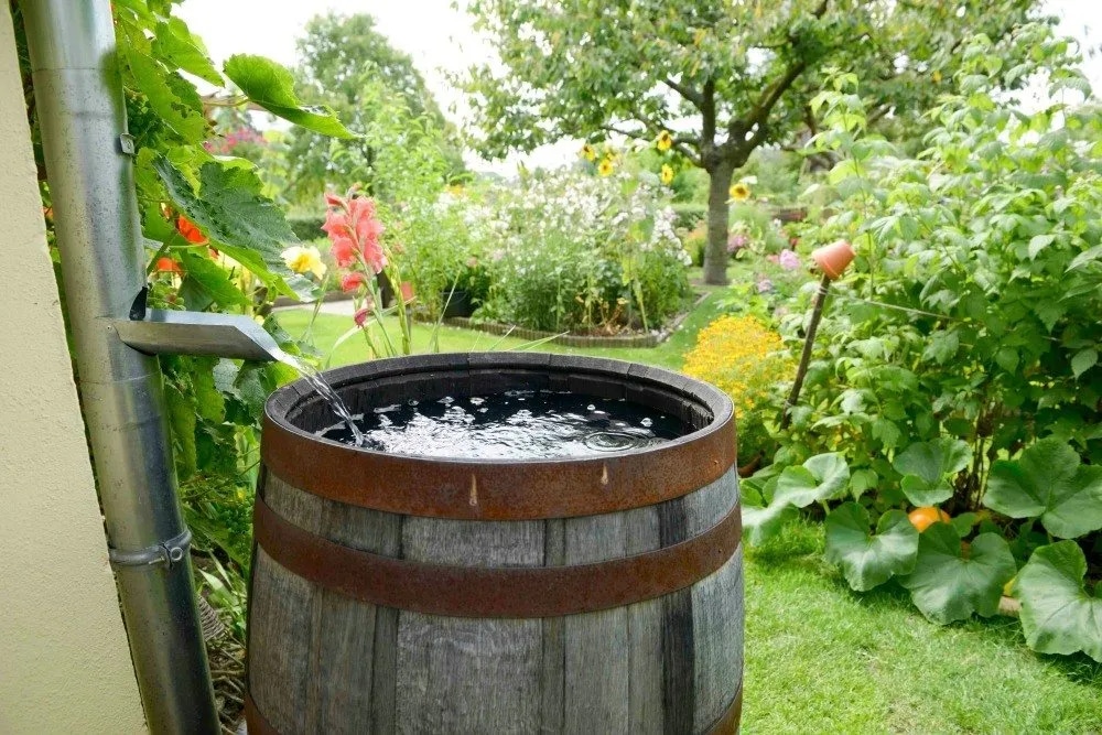 All4Water: Regenwasserlösungen, die Ihren Bedürfnissen entsprechen