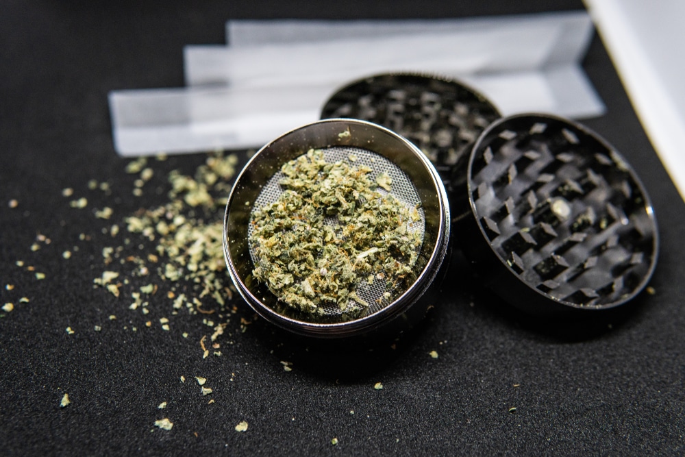Wie du hochwertige Samen erkennst – Cannabissamen kaufen legal in Deutschland